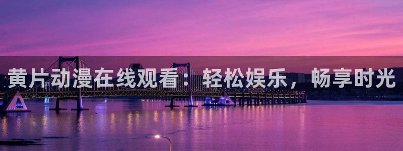 风车动漫间谍过家家