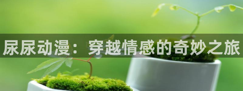 风车动漫好看的动漫