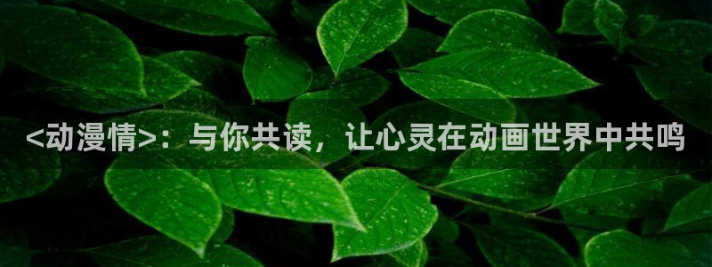 风车动漫app在哪下