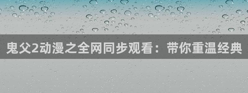 攻壳机动队风车动漫
