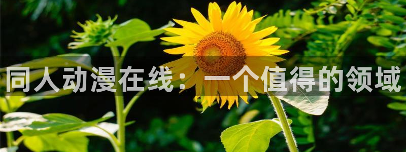 风车动漫n