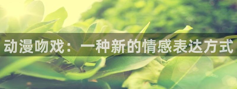 风车动漫网站(p)