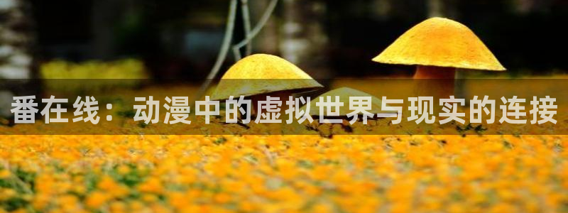 风车动漫免费网站