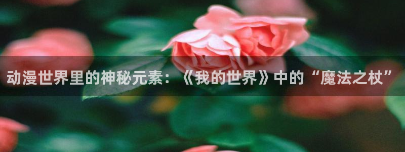 风车动漫官网在线下载