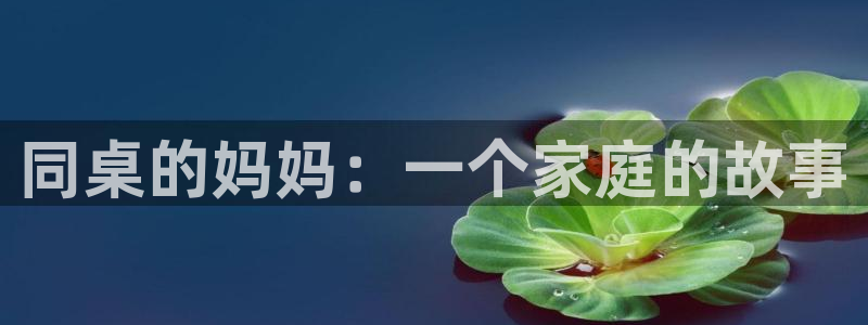 出包女王4季全集风车动漫