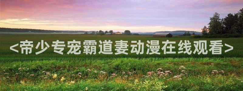 风车动漫免