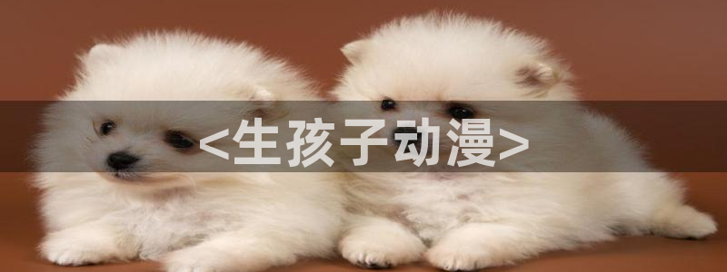 风车动漫专注网站