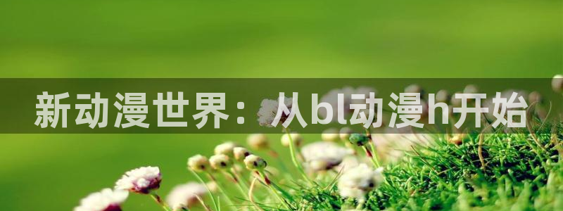 纯白轮舞曲风车动漫