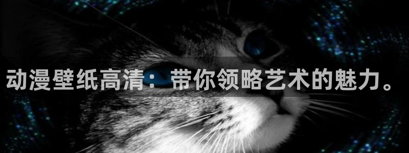 风车动漫免费观