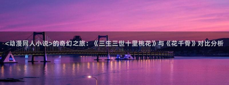 风车动漫网2025