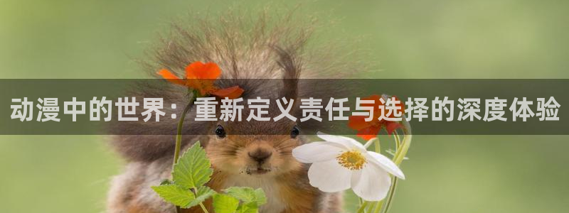 风车动漫下载入口