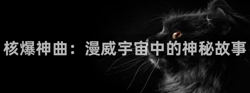 风车动漫管网
