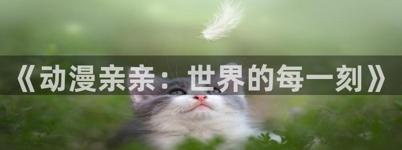 风车动漫(p)_专注动漫的门户官方网站