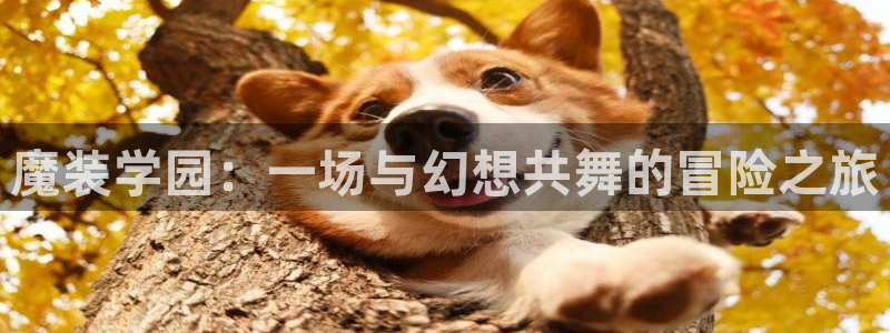 博人传风车动漫在线看