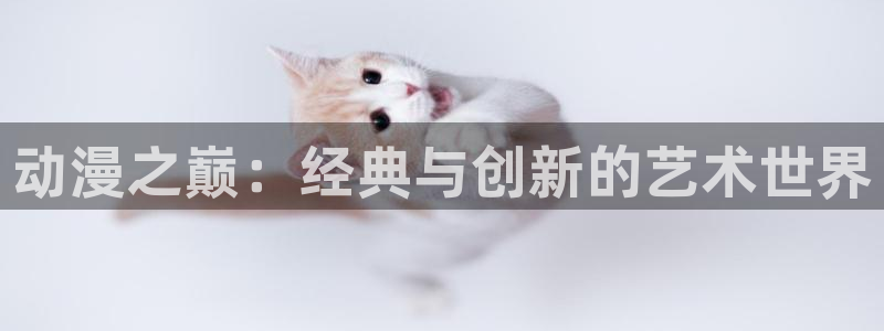 风车动漫 门户网站