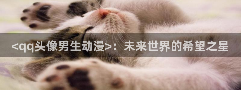 备长炭风车动漫