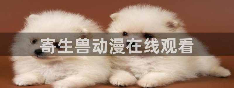 风车动漫www