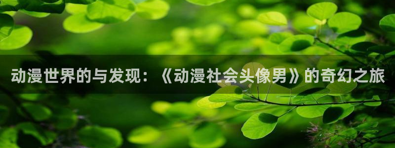 风车动漫在线播放免费：动漫世界的与发现：《动漫社会头像男》的奇幻之旅