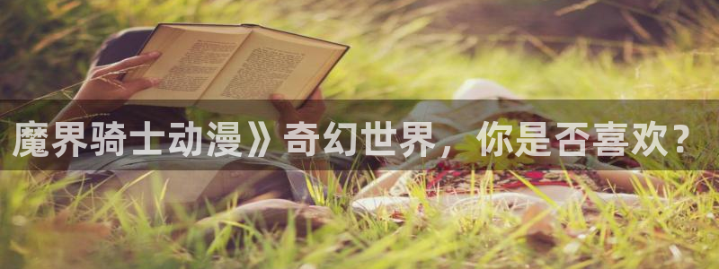 风车动漫p专注动漫：魔界骑士动漫》奇幻世界，你是否喜欢？