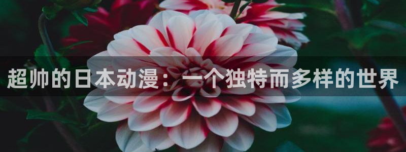《风车动漫》：超帅的日本动漫：一个独特而多样的世界