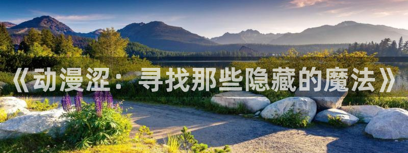 加速世界动漫风车动漫：《动漫涩：寻找那些隐藏的魔法》