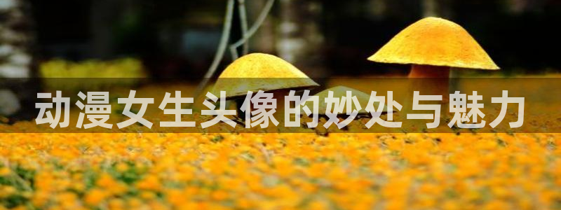 五等分的花嫁风车动漫：动漫女生头像的妙处与魅力
