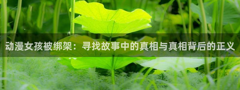 风车动漫\'：动漫女孩被绑架：寻找故事中的真相与真相背后的正义