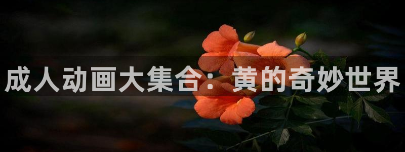 风车动漫网官网：成人动画大集合：黄的奇妙世界